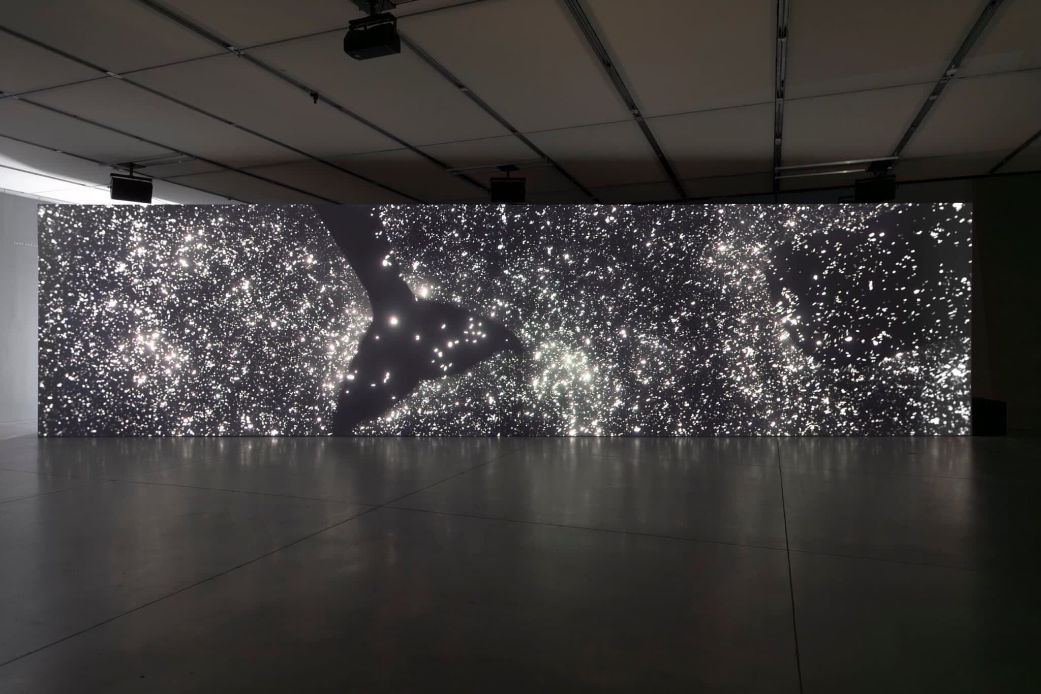 From a sea of twinkling bright lights, the tail of a whale appears.