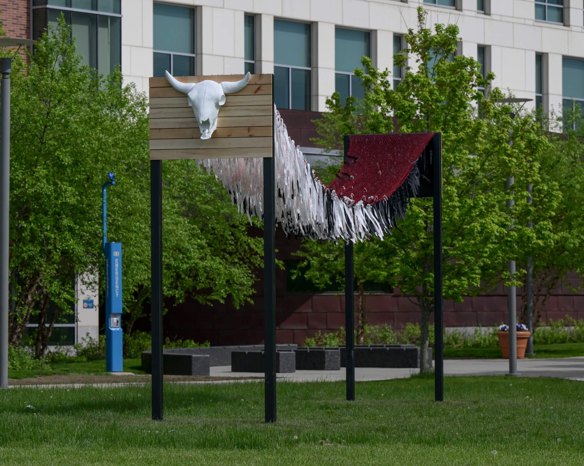 A buffalo sculpture mounted on wood.
